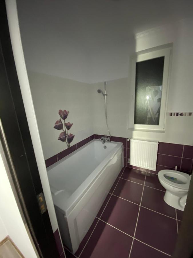 Luxury Apartment 사투마레 외부 사진